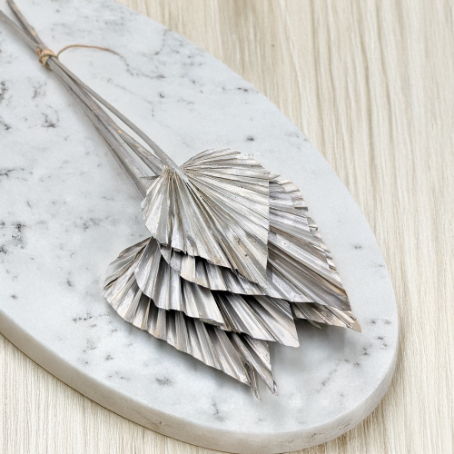 Palm spear silver platinum 6szt 1.png