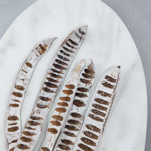 Maczeta bielona 2.png