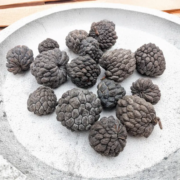 ATA FRUIT NATURAL 2.jpg