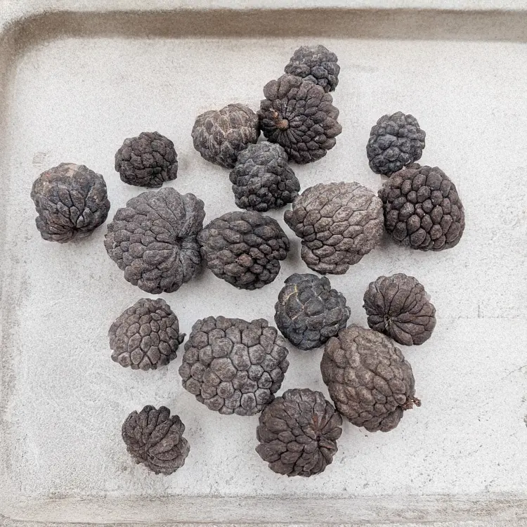 ATA FRUIT NATURAL 1.jpg