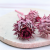 Cynara Erica 3szt 2.png