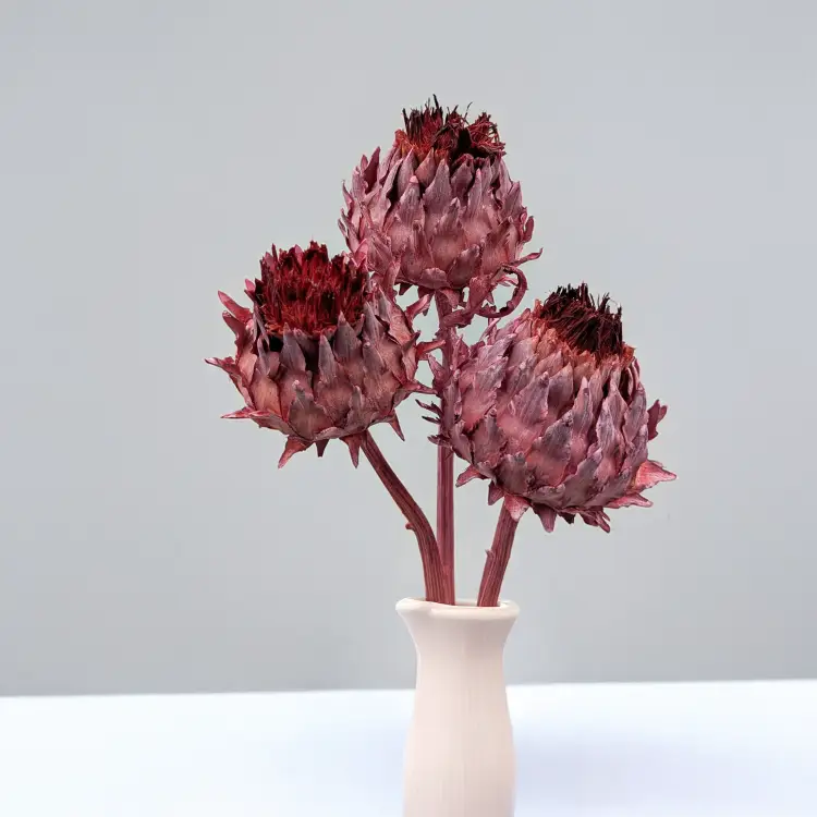 Cynara Old rose frosted 3szt 5.png