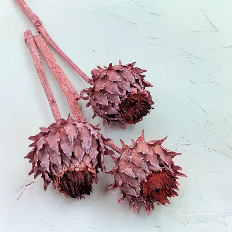 Cynara Old rose frosted 3szt 1.png