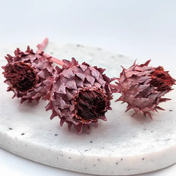 Cynara Old rose frosted 3szt 2.png