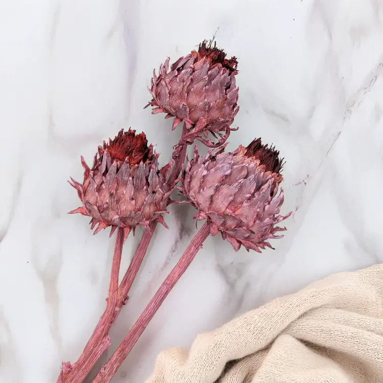 Cynara Old rose frosted 3szt 3.png