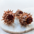 Cynara orange frosted 3szt 2.png