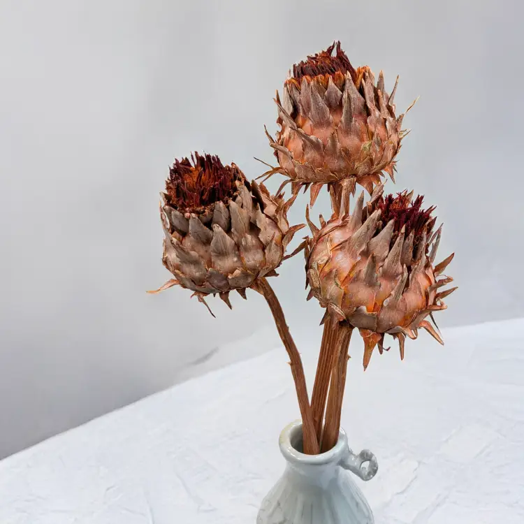 Cynara orange frosted 3szt 5.png