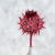 Cynara frosted red 3szt 4.png