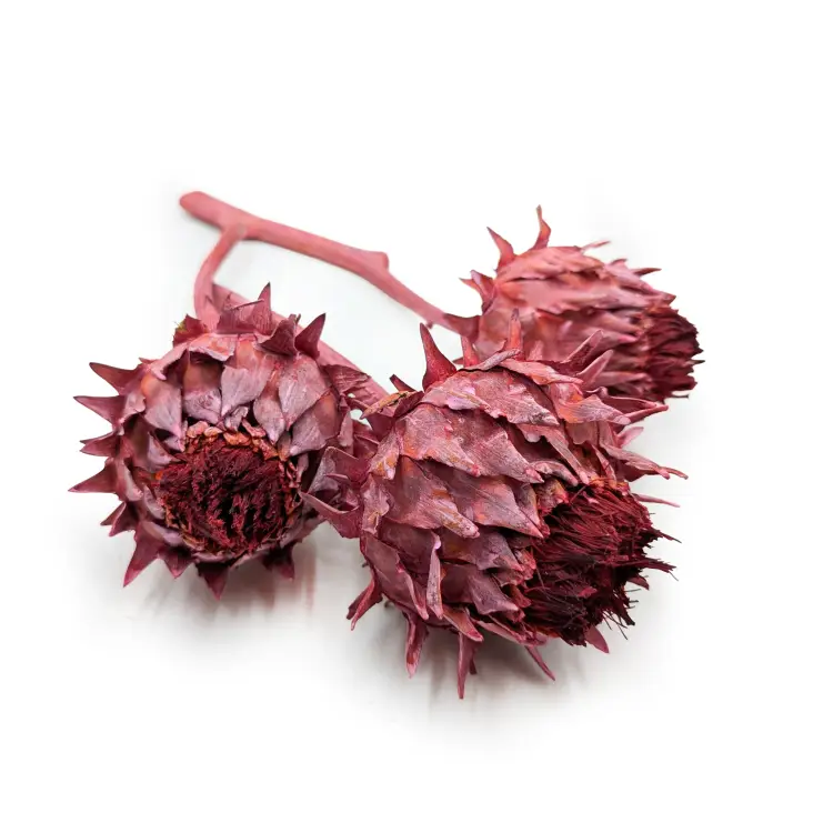 Cynara frosted red 3szt.png