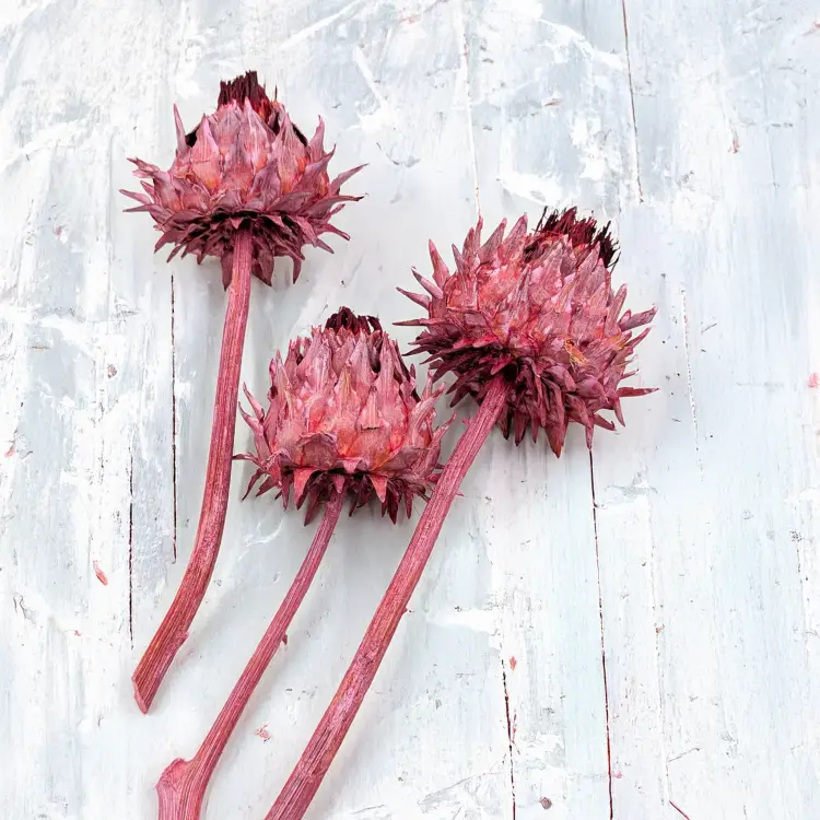 Cynara frosted red 3szt 2.png