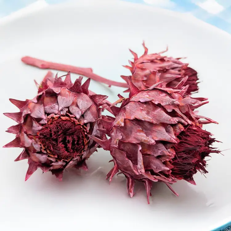 Cynara frosted red 3szt 3.png