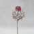 Cynara Whitewashed 3szt 4.png
