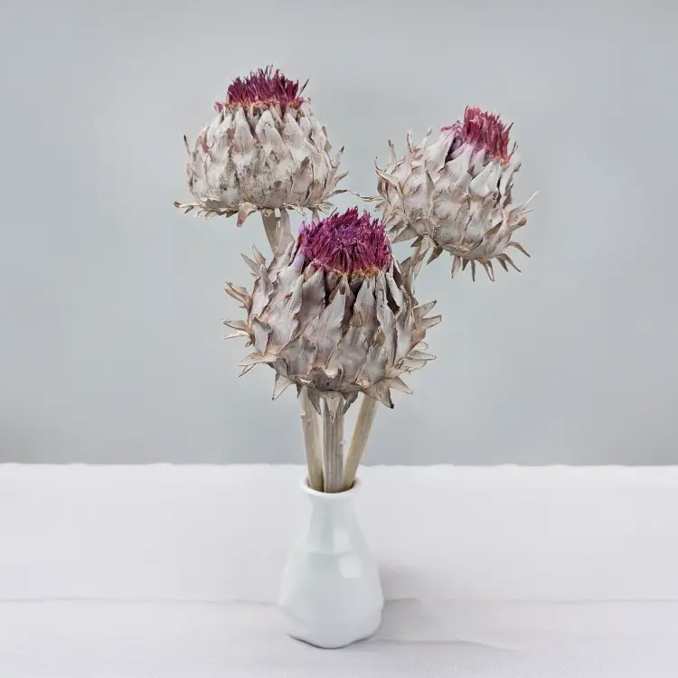 Cynara Whitewashed 3szt 5.png