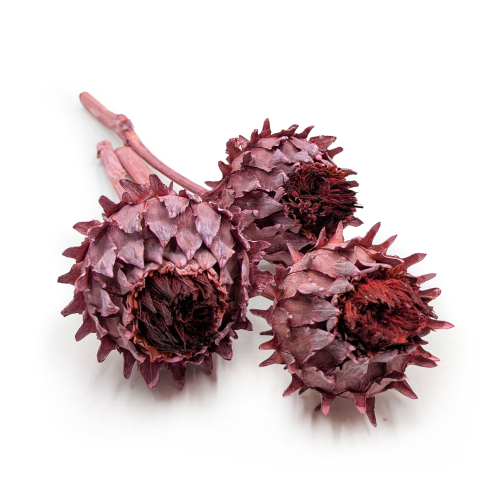 Cynara Old rose frosted 3szt.png 0.png