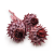 Cynara Old rose frosted 3szt.png 0.png