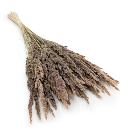 Trawa naturalna pls.png