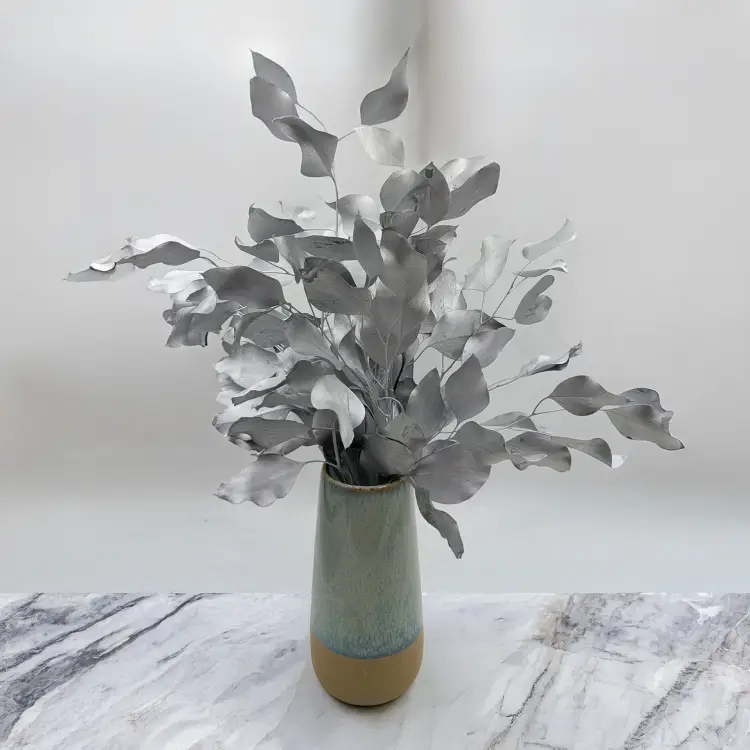 Populus silver IT 3.png