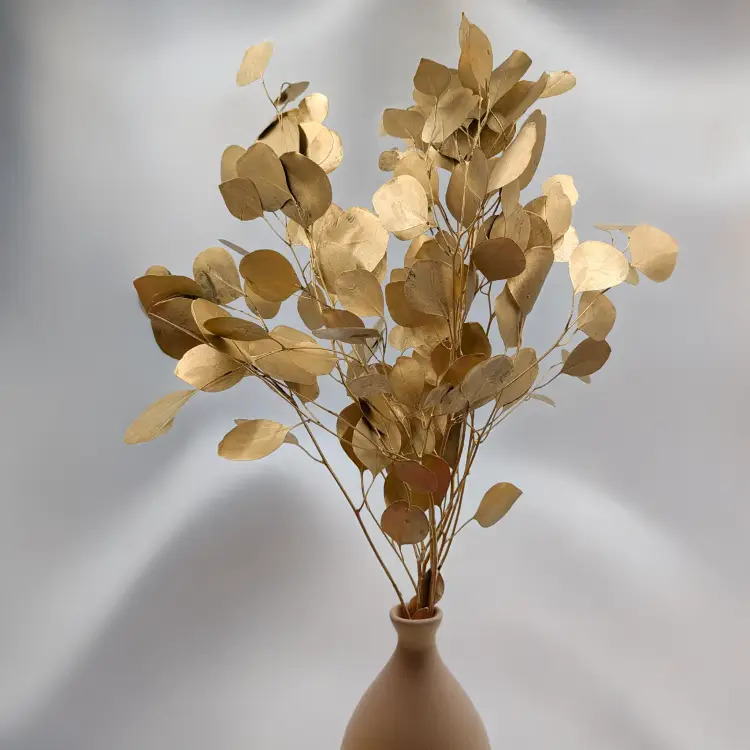 Populus gold it 1.png