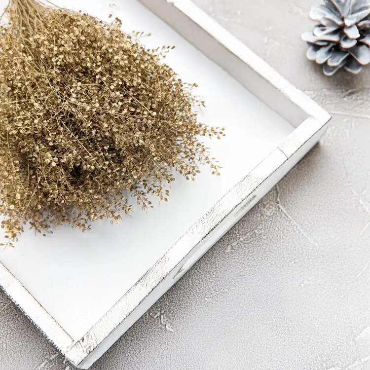 Lepidium suszone dried Gold złote 3.png