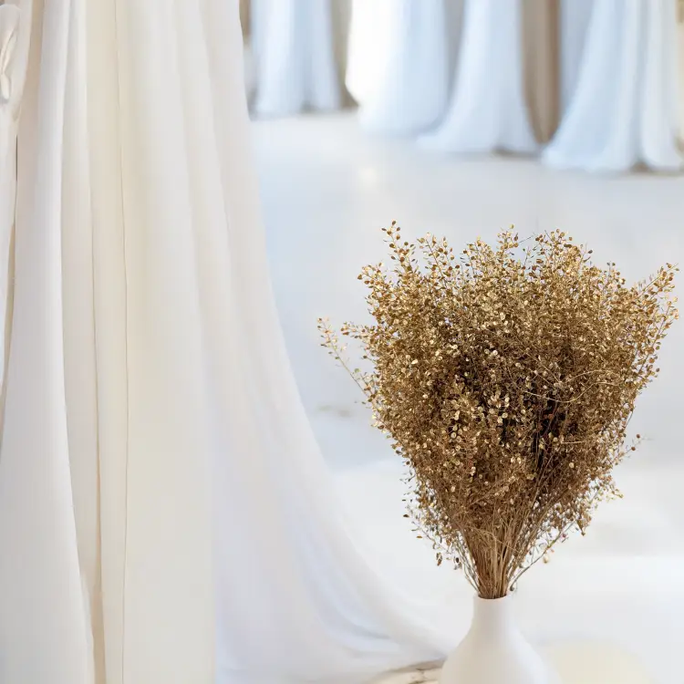 Lepidium suszone dried Gold złote 2.png