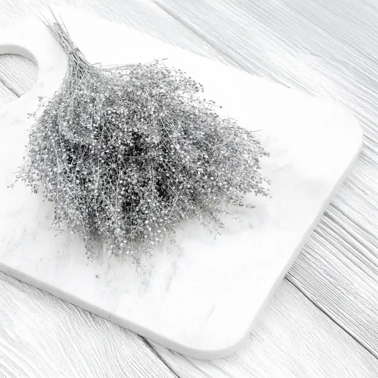 Lepidium Silver srebrne IT 5.png