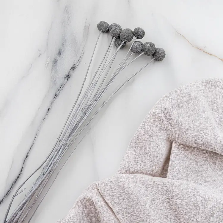 Craspedia Srebrna IT 2.png