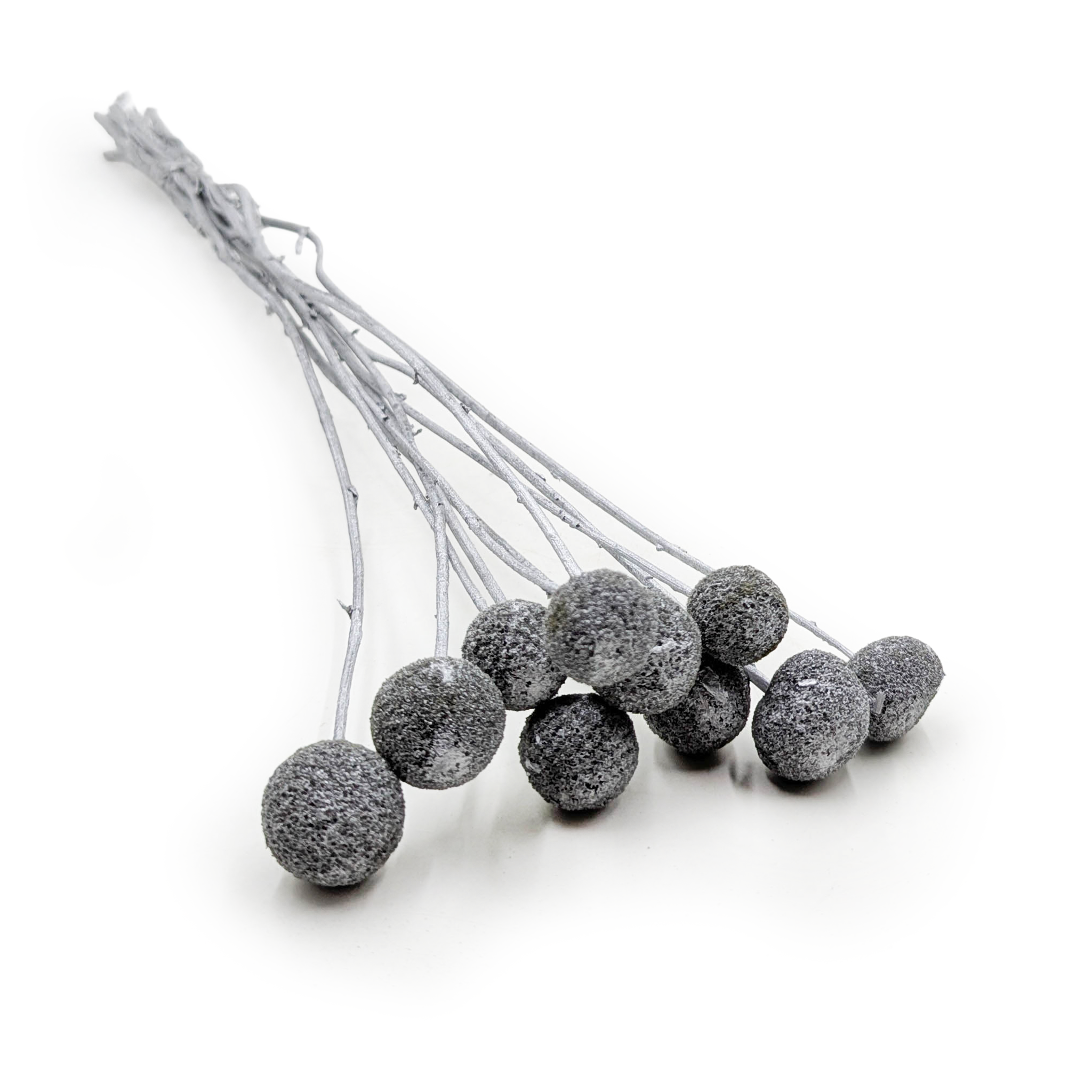 Kraspedia Suszona - (Craspedia) - Srebrna - 10 szt.