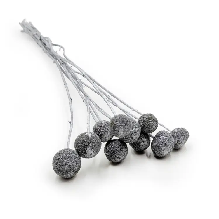 Craspedia Srebrna IT.png