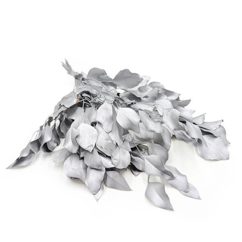 Populus SILVER Srebrny Stabilizowany.png