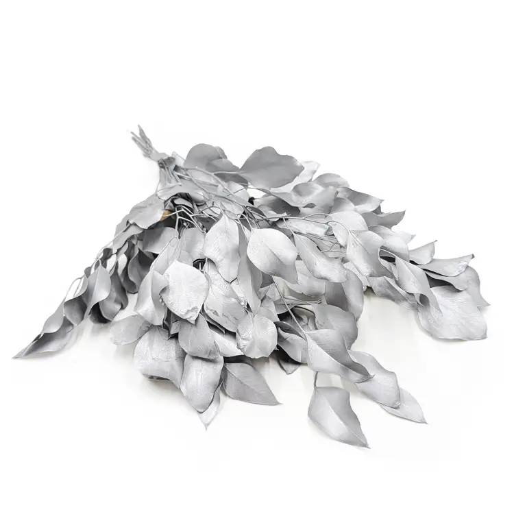 Populus SILVER Srebrny Stabilizowany.png