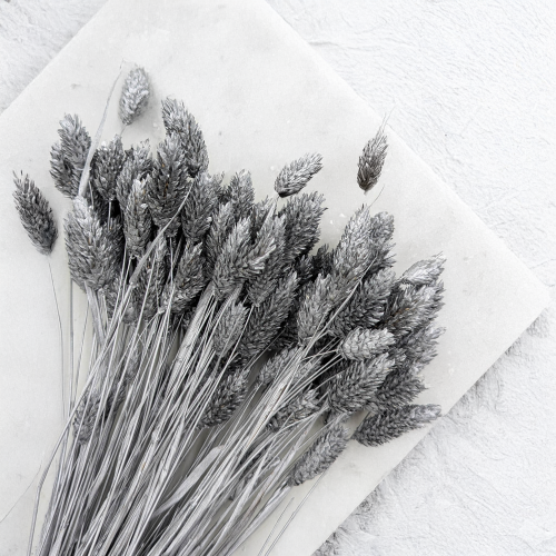 Kanar Silver IT 2.png