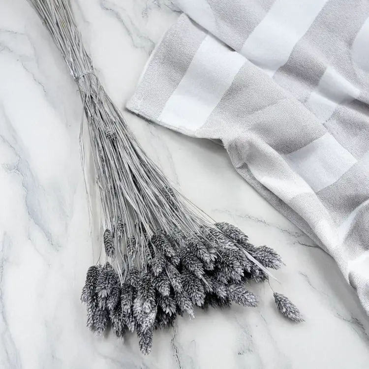 Kanar Silver IT 3.png