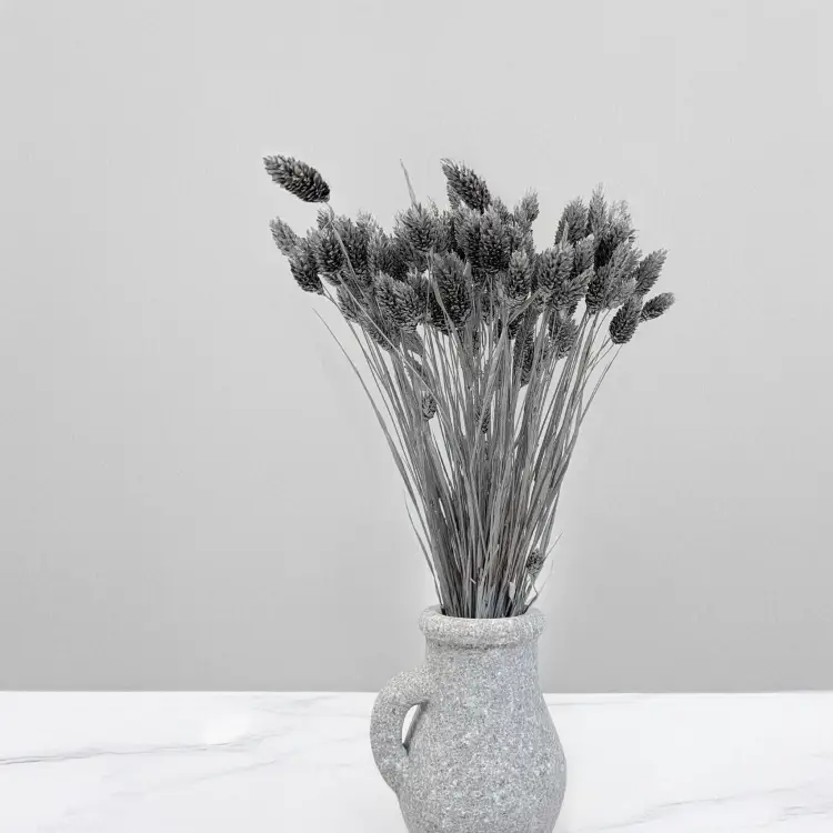 Kanar Silver IT 4.png