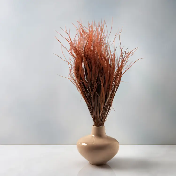 Stipa Chocolate 3.png