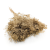 Broom Bloom Dried Gold.png