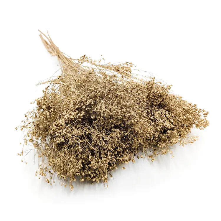 Broom Bloom Dried Gold.png