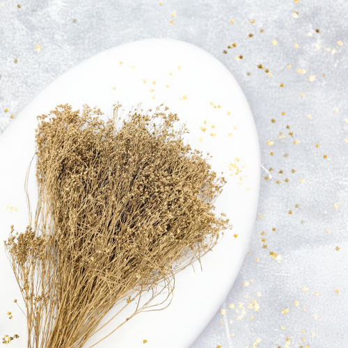 Broom Bloom Dried Gold 2.png