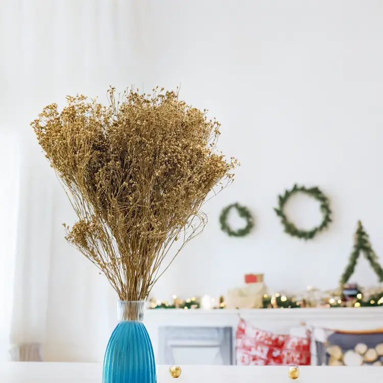 Broom Bloom Dried Gold 3.png