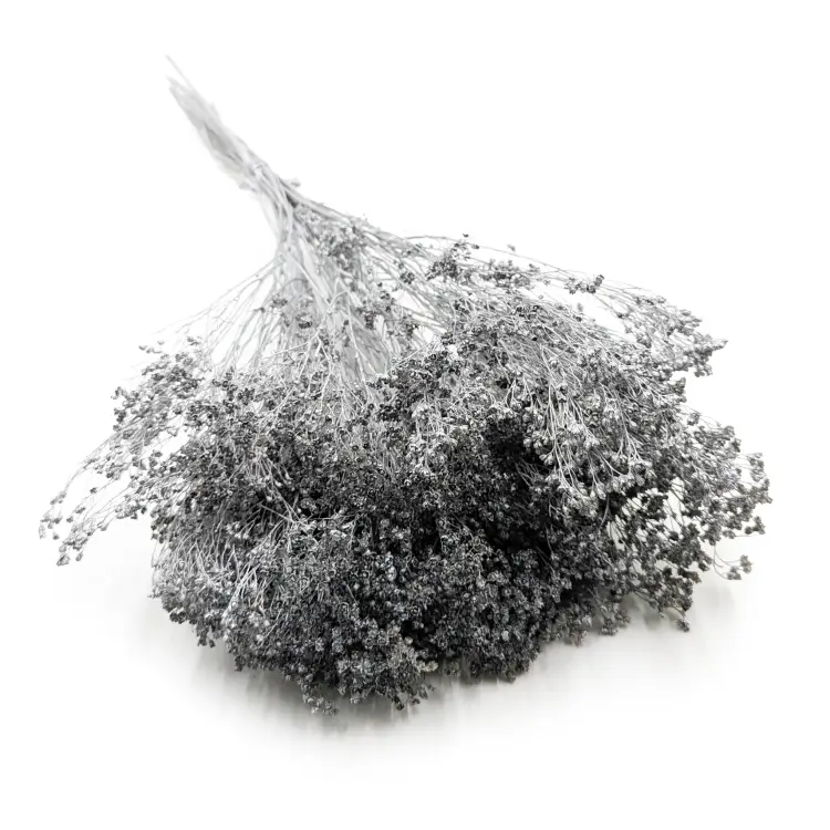 Broom Bloom Dried Silver.png