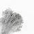 Broom Bloom Dried Silver 3.png