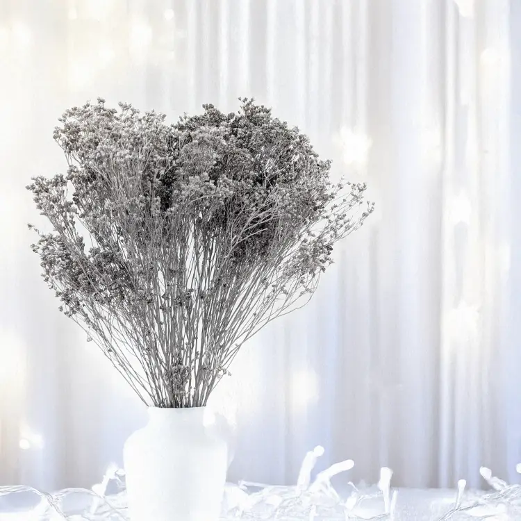 Broom Bloom Dried Silver 4.png