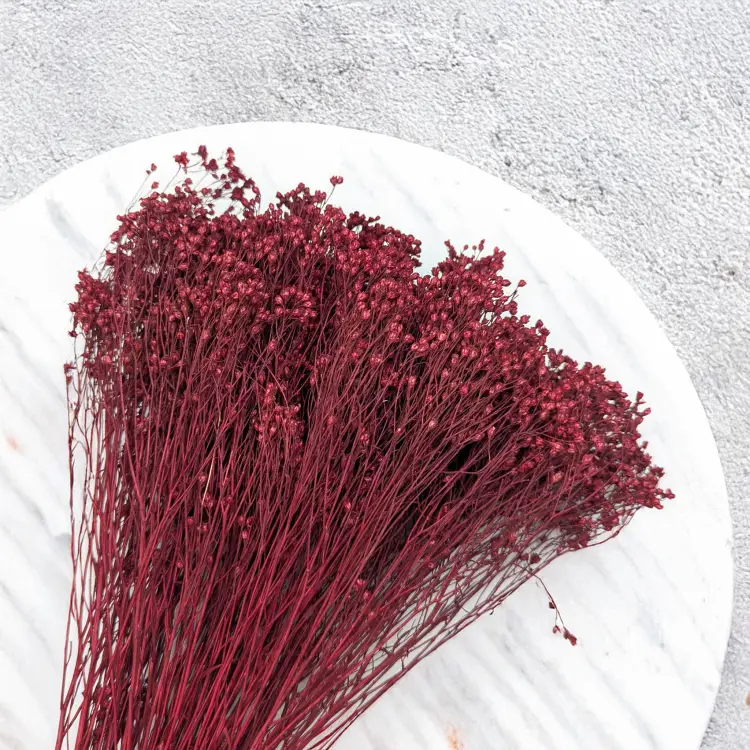 Broom Bloom Bordowy 3.png