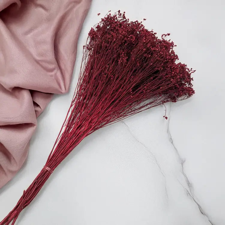 Broom Bloom Bordowy 2.png