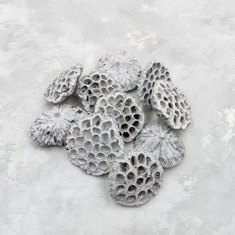 Lotos duży XXL bielony 1.png