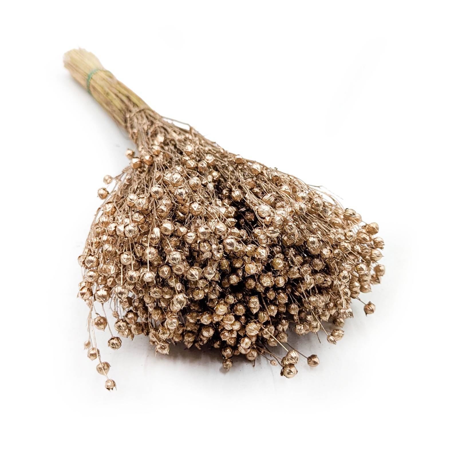 Len Suszony - Złoty