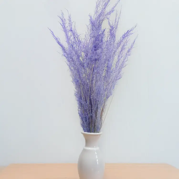 Briza Segromigno Lavenda 4.png