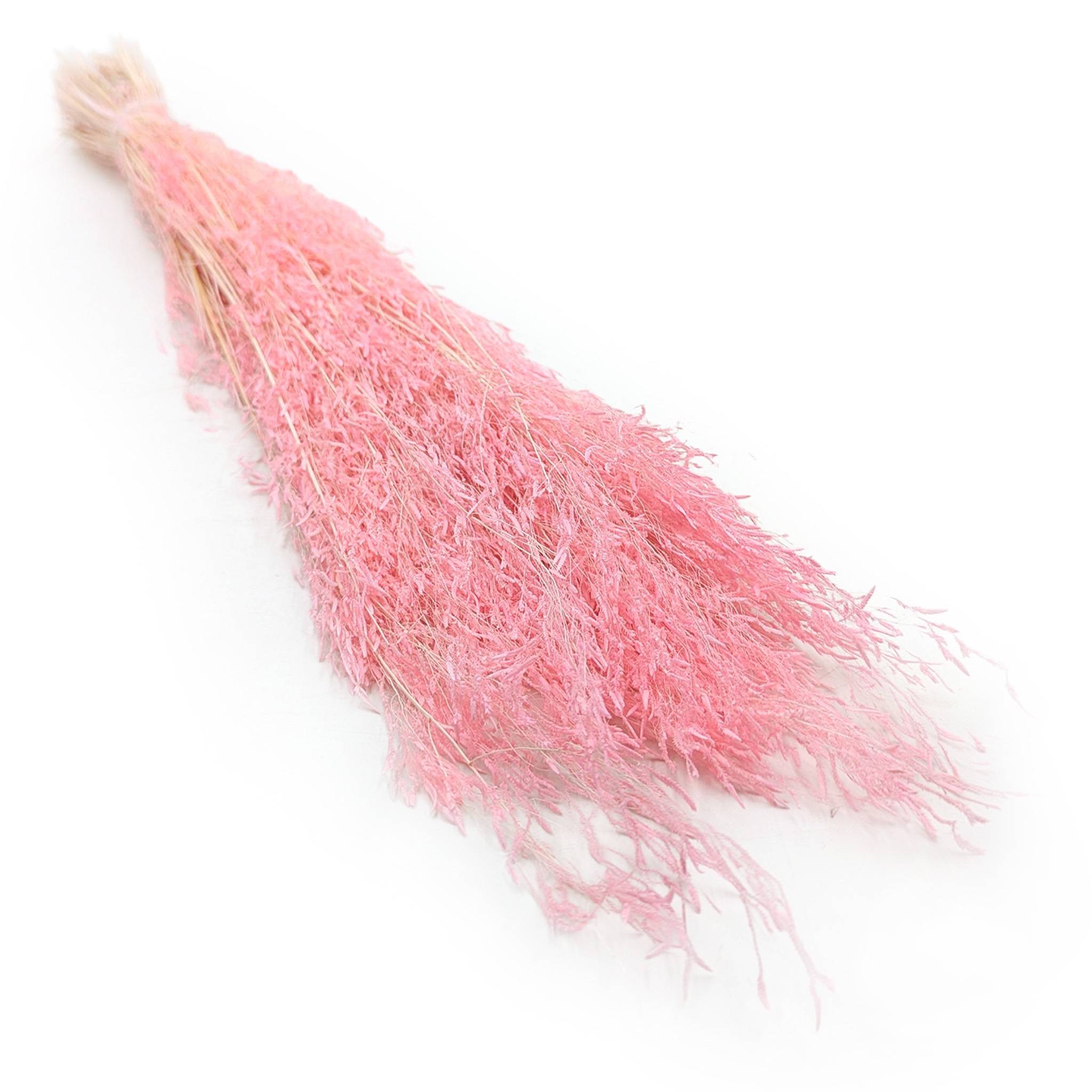 Drżączka Suszona - (Briza Segromigno) - Różowa