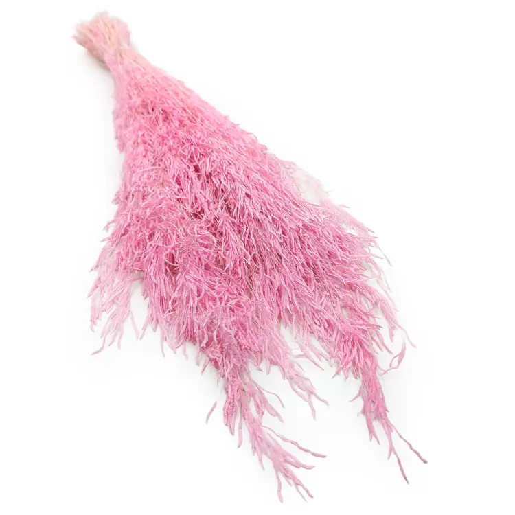 Drżączka Suszona - (Briza Segromigno) - Jasny róż.jpg