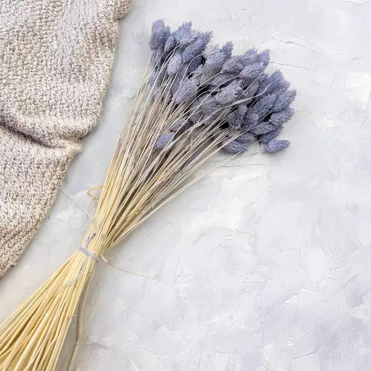 Kanar niebieski jeans 3.png