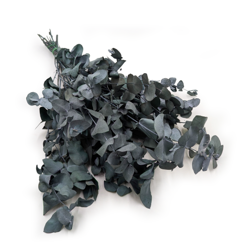 b146b59fc906169edf0900304a5c2b12